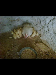 DSC00002.jpg DSC00002.jpg