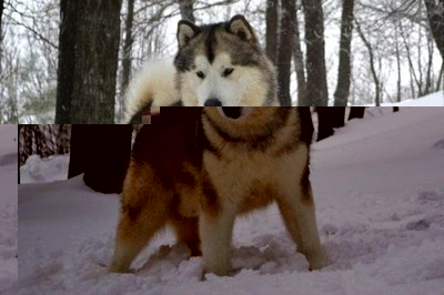 DUNKAN.jpg (72.53 KiB) Osservato 815 volte DUNKAN.jpg