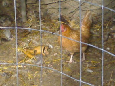 151120121416.jpg (88.15 KiB) Osservato 600 volte 151120121416.jpg