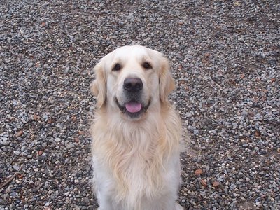 in posa sorridente / 100_2826.JPG 100_2826.JPG