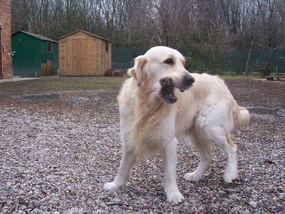 con un bastone: il suo gioco preferito / 100_2821.JPG 100_2821.JPG