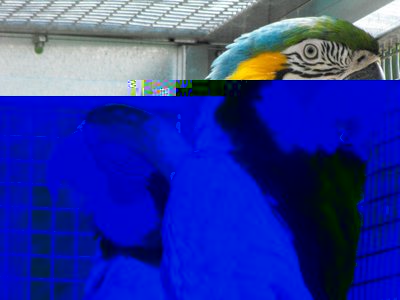 ara2.jpg (135.5 KiB) Osservato 838 volte ara2.jpg