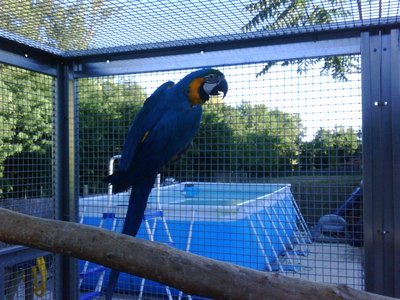 1920.jpg (174.94 KiB) Osservato 838 volte 1920.jpg