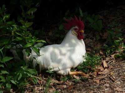 P1080238.JPG (100.14 KiB) Osservato 681 volte P1080238.JPG