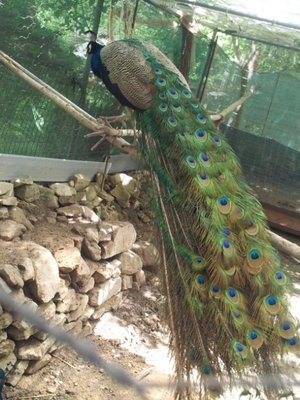 IMG_20130507_124837.jpg (293.53 KiB) Osservato 588 volte IMG_20130507_124837.jpg