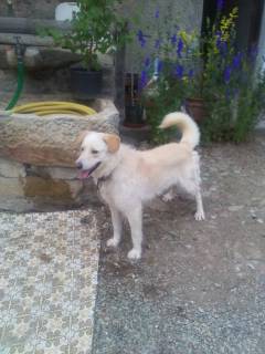 IMG_20130616_190041.jpg IMG_20130616_190041.jpg