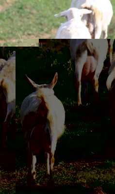 image.jpg (112 KiB) Osservato 639 volte image.jpg