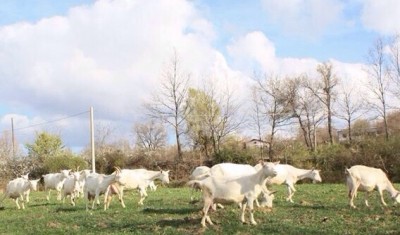 image.jpg (78.98 KiB) Osservato 639 volte image.jpg