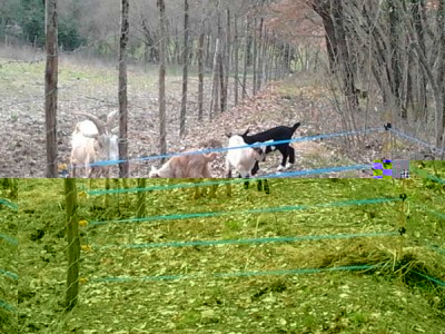 2 modificata.jpg (90.96 KiB) Osservato 501 volte 2 modificata.jpg