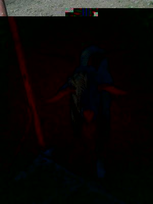 questo è il babbo VITTORIO!!!!Non me ne vogliano a male tutti i Vittorio del forum, ma è dedicato a SGARBI...capra,capra,capra,capra...bla...bla!!! / 4 modificata.jpg 4 modificata.jpg