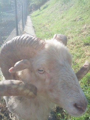 monti2.jpg (191.49 KiB) Osservato 504 volte monti2.jpg