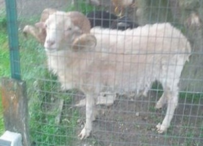 monti3.jpg (97.2 KiB) Osservato 469 volte monti3.jpg