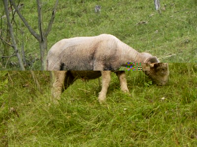 montoncino2.jpg (151.25 KiB) Osservato 566 volte montoncino2.jpg