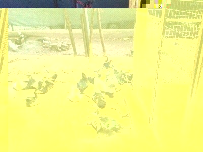 image.jpg (244.94 KiB) Osservato 669 volte image.jpg