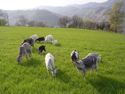 1.jpg (165.25 KiB) Osservato 898 volte 1.jpg