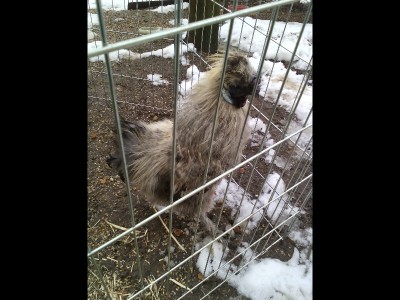 IMG_20150208_151754.jpg (187.57 KiB) Osservato 550 volte IMG_20150208_151754.jpg