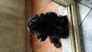 rps20150324_195209_278.jpg rps20150324_195209_278.jpg