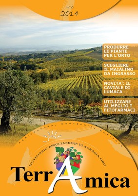 La copertina del num. 0 di TerrAmica / Copertina_TerrAmica_0_2014_2.jpg Copertina_TerrAmica_0_2014_2.jpg