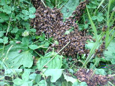 2.jpg (340.47 KiB) Osservato 8916 volte 2.jpg