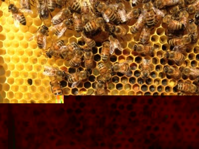 Foto 30-05-15 08 34 21.jpg (128.31 KiB) Osservato 840 volte Foto 30-05-15 08 34 21.jpg