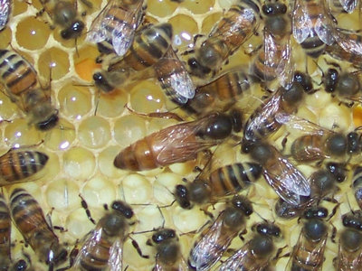 Regina!!! / Regina.jpg Regina.jpg