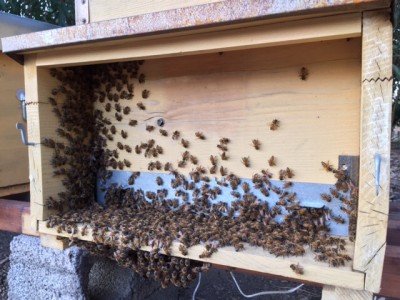 image.jpg (124.73 KiB) Osservato 2124 volte image.jpg