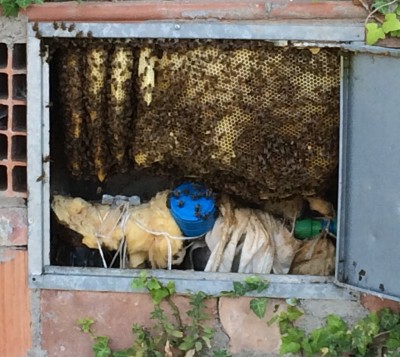 image1.JPG (289.61 KiB) Osservato 791 volte image1.JPG