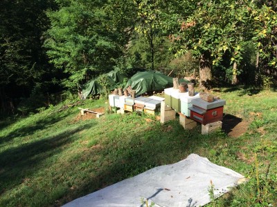 Stato attuale / Copia di IMG_2008.JPG Copia di IMG_2008.JPG