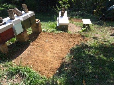 Copia di IMG_2010.JPG (226.24 KiB) Osservato 2100 volte Copia di IMG_2010.JPG