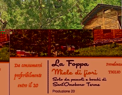 Etichetta / Copia di Schermata 2015-08-06 alle 18.21.26.jpg Copia di Schermata 2015-08-06 alle 18.21.26.jpg