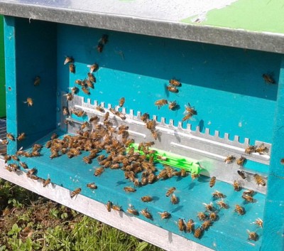 Stato di eccitazione sulla 1_2016-10-22 14.01.46.jpg (137.59 KiB) Osservato 3419 volte Stato di eccitazione sulla 1_2016-10-22 14.01.46.jpg