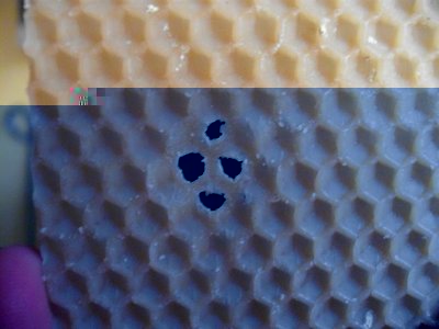 1.JPG (41.41 KiB) Osservato 1755 volte 1.JPG