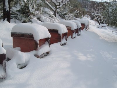 nevedic2010.jpg (132.23 KiB) Osservato 1550 volte nevedic2010.jpg