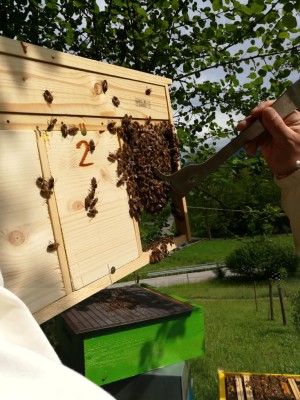 Tit3 / IMG_20180512_155928.jpg IMG_20180512_155928.jpg