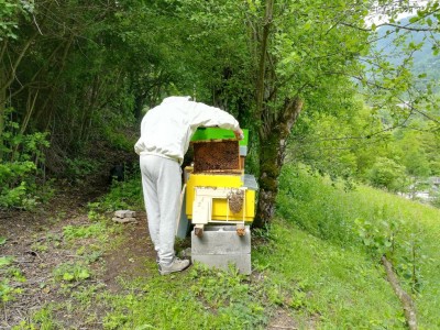 IMG_20180512_160705.jpg (224.93 KiB) Osservato 1964 volte IMG_20180512_160705.jpg