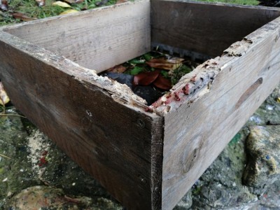 IMG_20201201_111747.jpg (120.18 KiB) Osservato 909 volte IMG_20201201_111747.jpg