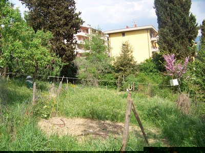 Ecco a voi il marchingegno (quello verde sono io!!!!) / Nuovo_Sciame_21.jpg Nuovo_Sciame_21.jpg