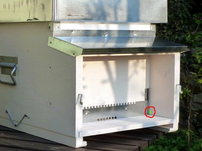 Posizione del buco nella vecchia arnia / Arnia.jpg Arnia.jpg