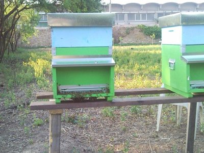 SNC01239.jpg (91.51 KiB) Osservato 979 volte SNC01239.jpg