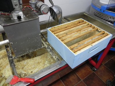 Il banco disopercolatore e la vasca per la cera / DSCN3908.JPG DSCN3908.JPG