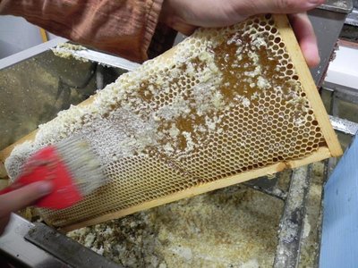 La forchetta disopercolatrice che al momento dai buchi fatti dal mio amico Marco sembrerebbe più una vanga! / DSCN3911.JPG DSCN3911.JPG