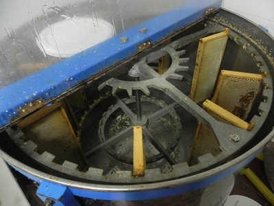 Il piccolo smielatore da QUARANTA telaini. / DSCN3914.JPG DSCN3914.JPG