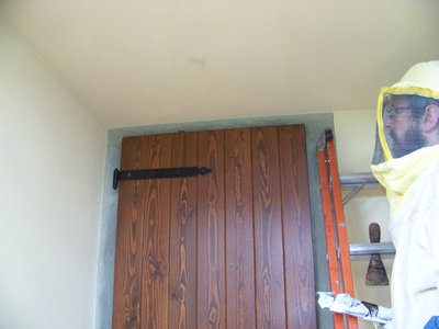 La porta dietro la quale si cela....l'oscuro sciame!!! / Recupero Sciame_Vallombrosa_1.jpg Recupero Sciame_Vallombrosa_1.jpg