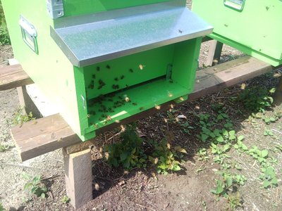 SNC01357.jpg (165.87 KiB) Osservato 965 volte SNC01357.jpg