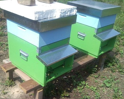 SNC01358.jpg (145.9 KiB) Osservato 965 volte SNC01358.jpg