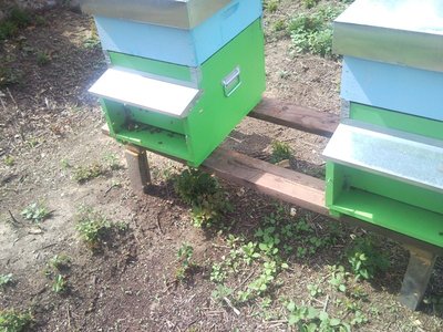 SNC01359.jpg (184.86 KiB) Osservato 965 volte SNC01359.jpg