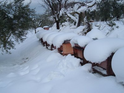 neve05022012 001.jpg (137.06 KiB) Osservato 1083 volte neve05022012 001.jpg
