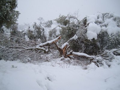 neve05022012 007.jpg (135.84 KiB) Osservato 1083 volte neve05022012 007.jpg