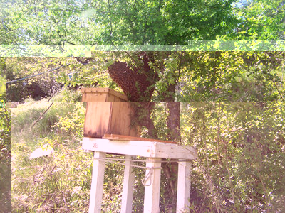 Sistemazione Portasciami / Nuovo_Sciame_10-800x600.jpg Nuovo_Sciame_10-800x600.jpg