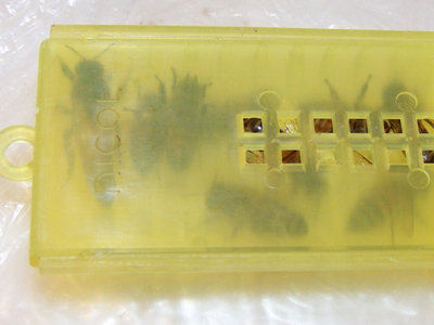 Regina 1 - Foto 2 / Regina1_4-800x600.jpg Regina1_4-800x600.jpg